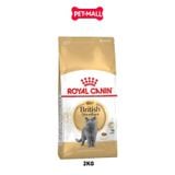 2KG - Thức ăn mèo Royal Canin British Shorthair Adult Petmall