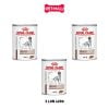Combo Pate chó Royal Canin Hepatic Loaf 420g - 3 lon - Hỗ trợ chức năng gan Petmall