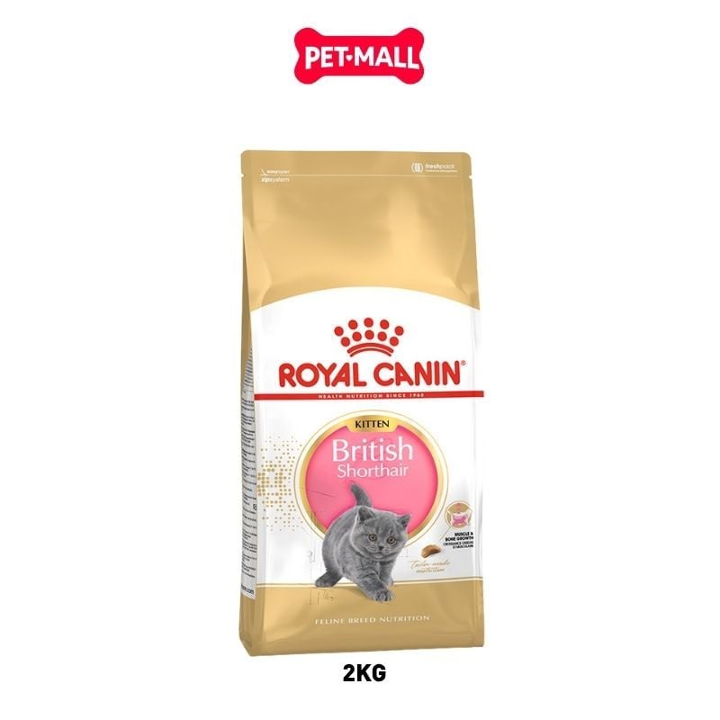 Thức ăn mèo Royal Canin British Shorthair Kitten 2kg - mèo Anh lông ngắn Petmall