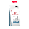 ROYAL CANIN ANALLERGENIC