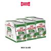 Combo Pate chó Royal Canin Mini Adult Gravy 85g - 36 gói Petmall
