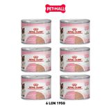 Combo Pate Mèo Royal Canin Mother & Babycat 195g - 6 Lon