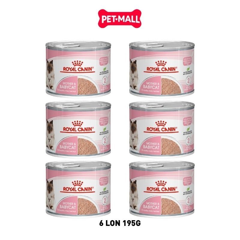 Combo Pate Mèo Royal Canin Mother & Babycat 195g - 6 Lon