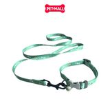 Set Dây + Vòng cổ Sonice Lucky Leash + Collar 10kg - 1.5cm Bơ xanh Petmall