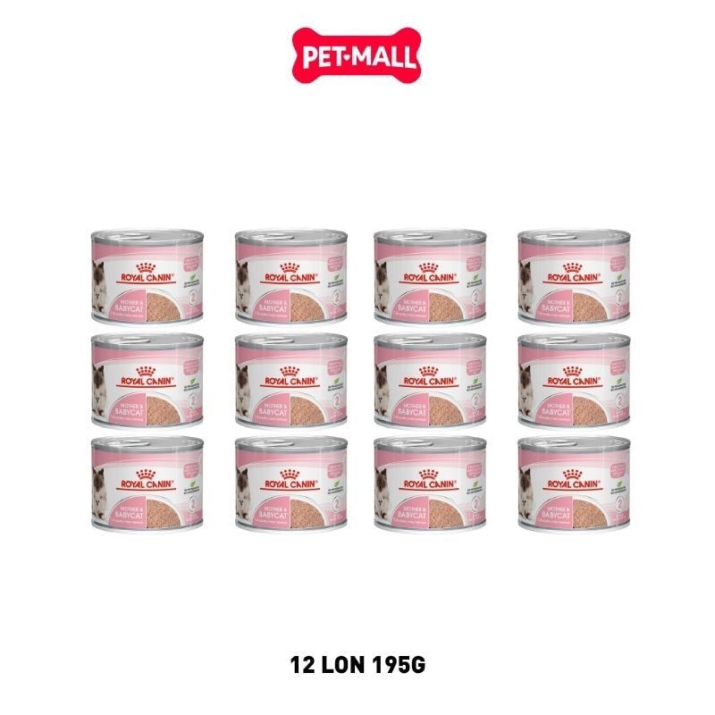 Combo 12 Lon 195G - Pate mèo Royal Canin Mother & Babycat Petmall