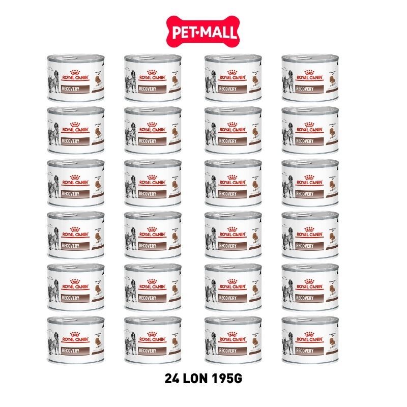 Combo 24 Lon 195G - Pate Royal Canin RECOVERY Canine Feline - Thức ăn phục hồi sức khoẻ chó mèo Petmall