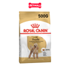 ROYAL CANIN POODLE ADULT