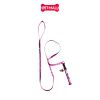 Set Dây + Vòng cổ Sonice Lucky Leash + Collar 5kg - 1cm Gấu dâu Petmall