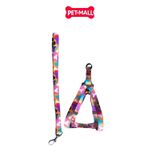 Set Dây + Yếm Sonice Lucky Leash + Harness 10kg - 1.5cm Loang màu Petmall