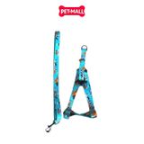 Set Dây + Yếm Sonice Lucky Leash + Harness 10kg - 1.5cm Hình chó mèo xanh lục Petmall
