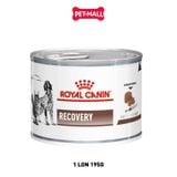 195G - Pate Royal Canin RECOVERY Canine Feline - Thức ăn phục hồi sức khoẻ chó mèo Petmall