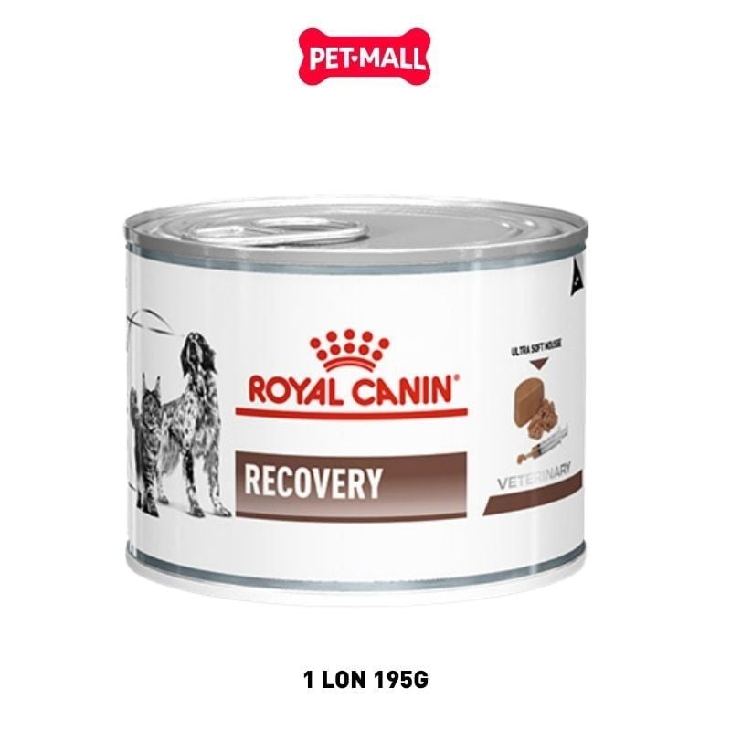 195G - Pate Royal Canin RECOVERY Canine Feline - Thức ăn phục hồi sức khoẻ chó mèo Petmall