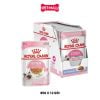 Pate mèo Royal Canin Kitten Jelly 85g - Hộp 12 gói Petmall