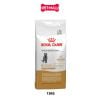 13KG - Thức ăn mèo Royal Canin British Shorthair Adult Petmall