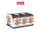 Pate Royal Canin Hair&Skin