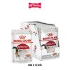 Pate mèo Royal Canin Instinctive Loaf 85g - Hộp 12 gói Petmall