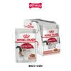 Pate mèo Royal Canin Instinctive Gravy 85g - Hộp 12 gói Petmall
