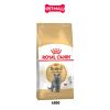400G - Thức ăn mèo Royal Canin British Shorthair Adult Petmall