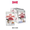 Pate mèo Royal Canin Instinctive Jelly 85g - Hộp 12 gói Petmall