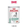 1 Lon 410G - Pate chó Royal Canin Diabetic Special Low Carbohydrate Loaf - Hỗ trợ tiểu đường Petmall