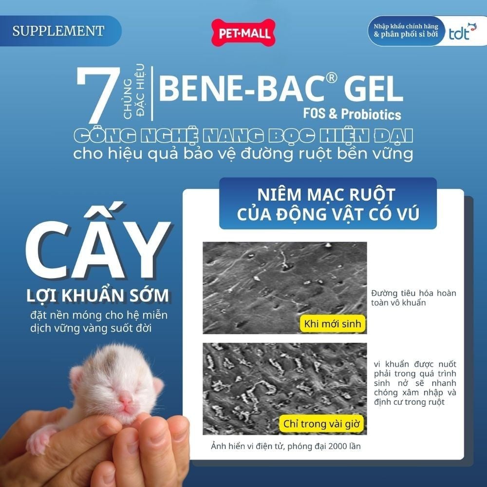 Men tiêu hoá đường ruột đặc hiệu Bene Bac Gel PetAG cho chó mèo 15g - Hỗ trợ các bệnh về đường tiêu hoá Petmall