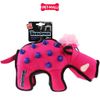 Đồ chơi kéo co massage nướu GiGwi Duraspikes - Hình Heo Rừng Petmall