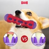 Đồ chơi GiGwi Toothbrush Stick Que gặm vệ sinh răng miệng màu đỏ tím Petmall