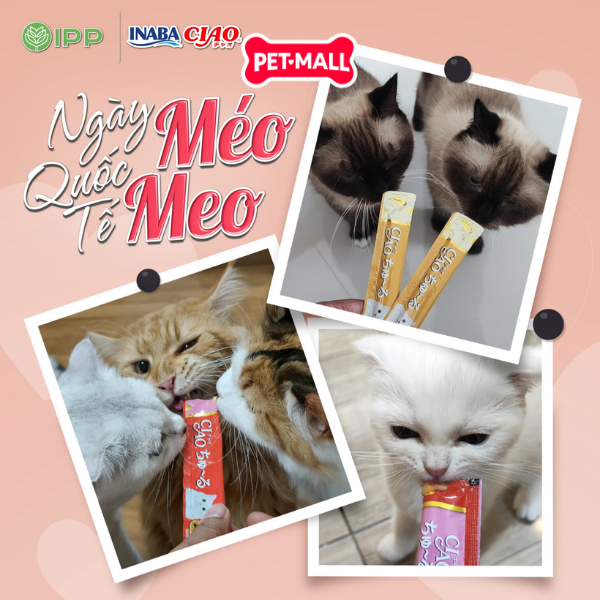 Treats mèo Ciao Churu 56g súp thưởng giàu dinh dưỡng Petmall