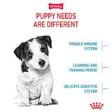 Set quà RC - 8KG Mini Puppy Thức ăn chó tặng 1 hộp Pate Mini Puppy 85g Petmall