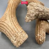 Đồ chơi nhai gặm GiGwi Nylon Wooden Antler Chew Toy - Sừng nai gỗ size S Petmall