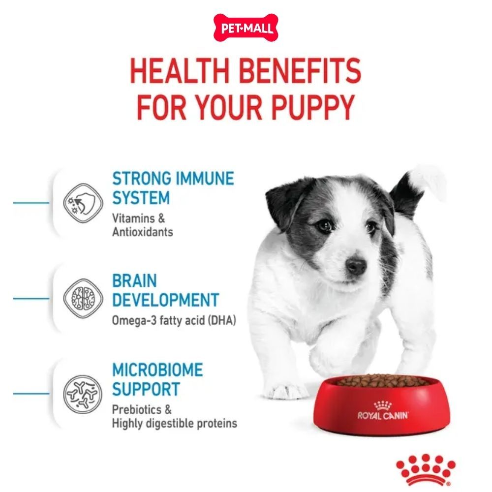 Set quà RC - 2KG Mini Puppy Thức ăn chó tặng 2 gói Pate Mini Puppy 85g Petmall
