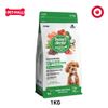  1KG - Thức ăn chó Today's Dinner Healthy Skin & Coat All Stages Dog - Hỗ trợ dưỡng lông cho chó mọi lứa tuổi Petmall 