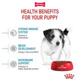 Set quà RC - 8KG Mini Puppy Thức ăn chó tặng 1 hộp Pate Mini Puppy 85g Petmall