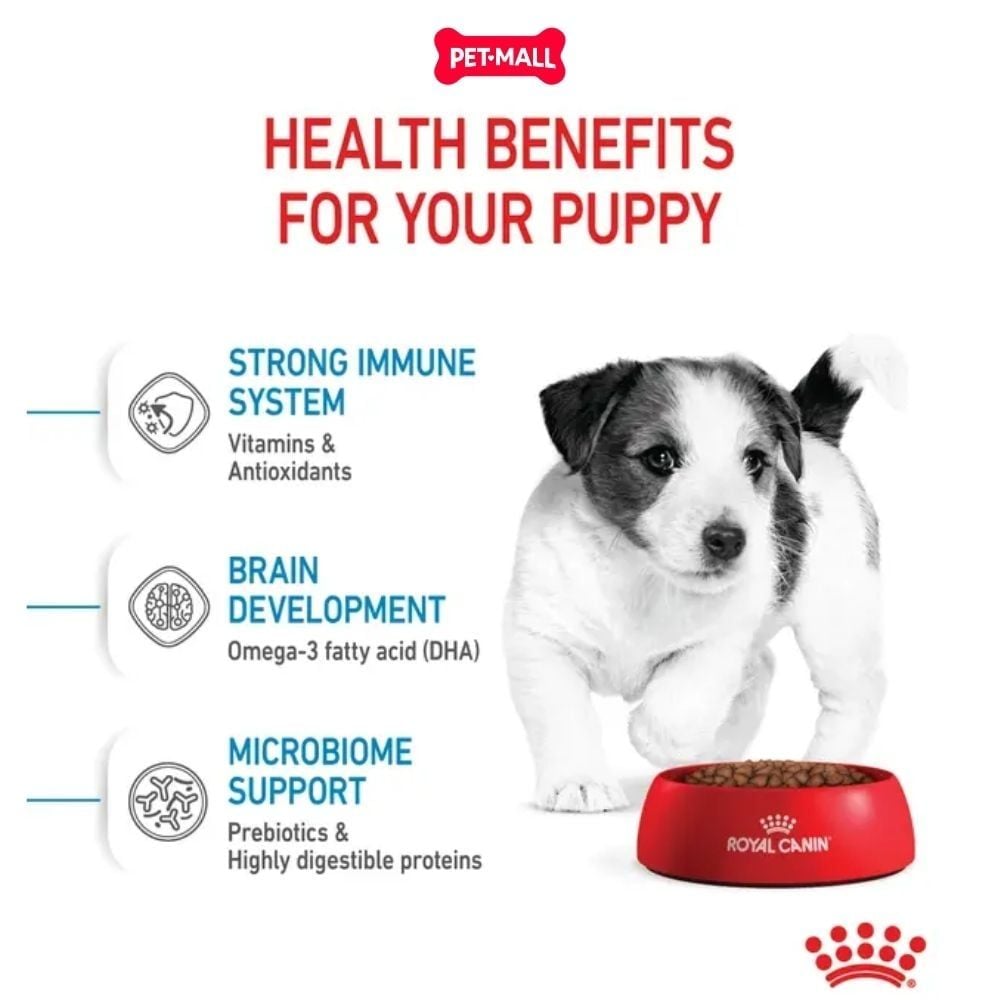 Set quà RC - 800g Mini Puppy Thức ăn chó tặng 1 gói Pate Mini Puppy 85g Petmall