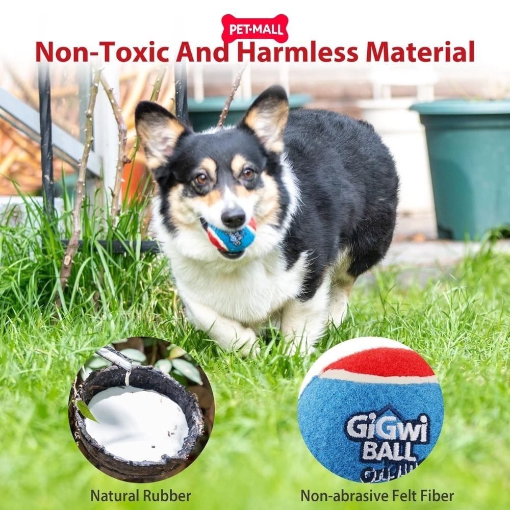 Đồ chơi GiGwi Ball Originals Tennis Ball for dog - size S Petmall