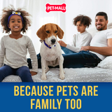 Dầu cá SHED-X cung cấp Vitamin giảm rụng lộng & tăng đề kháng cho chó giống nhỏ 237ML