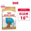  500G - Thức ăn chó Royal Canin Poodle Puppy Petmall 