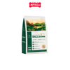 4.8KG - Thức ăn chó WellSome - Protein côn trùng, tốt cho tiêu hóa & xương khớp Petmall