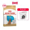 1.5KG - Thức ăn chó Royal Canin Poodle Adult Petmall