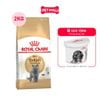 2KG - Thức ăn mèo Royal Canin British Shorthair Adult Petmall