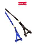 Set dây dắt + yếm SONICE Mix Colour Small Size - Cho chó <5kg Petmall