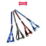 Set dây dắt + yếm SONICE Mix Colour Medium Size - Cho chó <10kg Petmall