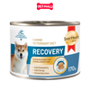  170G - Pate chó SmartHeart Gold Recovery - Hỗ trợ phục hồi sau điều trị Petmall 