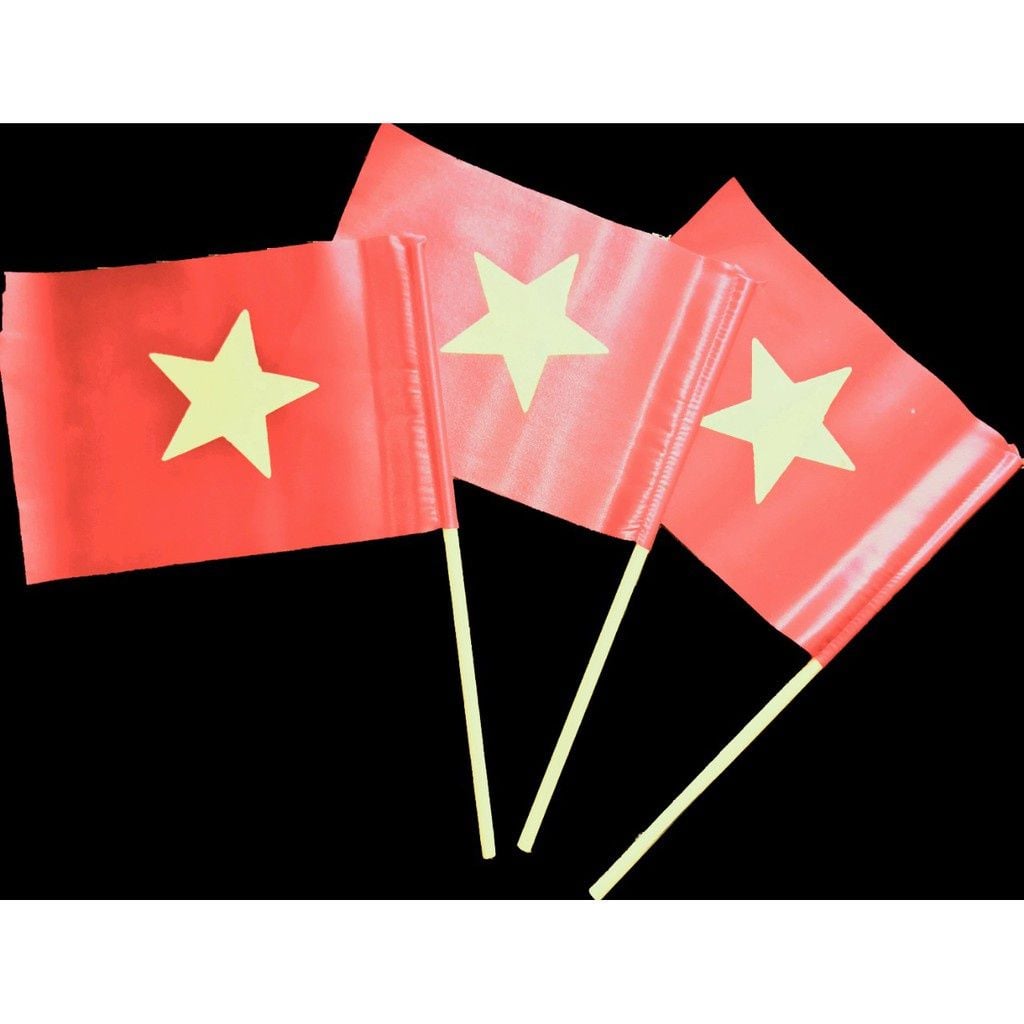  [HOT]Cờ vẫy cầm tay lá cờ Việt Nam vải phi bóng cán nhựa 