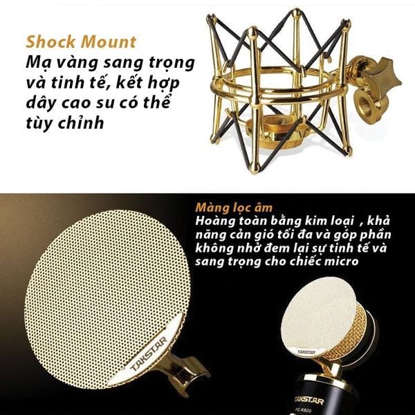 Micro thu âm Takstar PC-K820 - Micro thu âm cho phòng thu