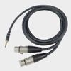 Dây truyền tín hiệu Jack 3.5mm Stereo ra 2 đầu Canon cái XLR (2M)