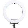 Đèn livestream Led Ring Kingjoy 19 R119 và Chân FL2009