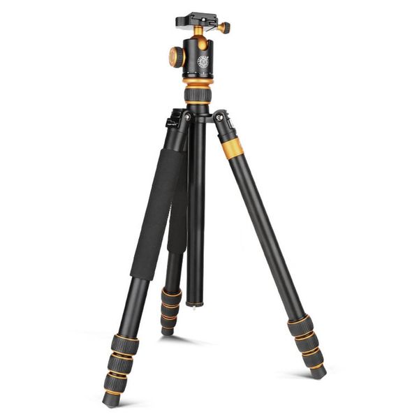 Chân máy ảnh chuyên nghiệp Tripod Beike Q888C