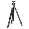 Chân máy ảnh chuyên nghiệp Tripod Beike Q888C