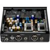 Black Lion Audio Auteur MK2 2 - Tiền Khuếch Đại